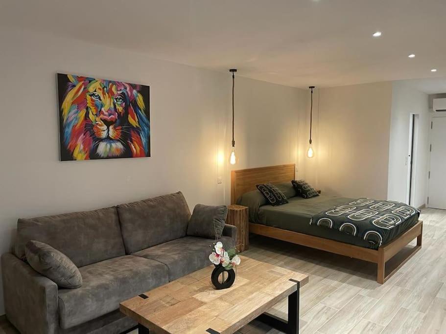 Charmant Studio Avec Vue Mer, Terrasse Anse-Marcel Exterior foto